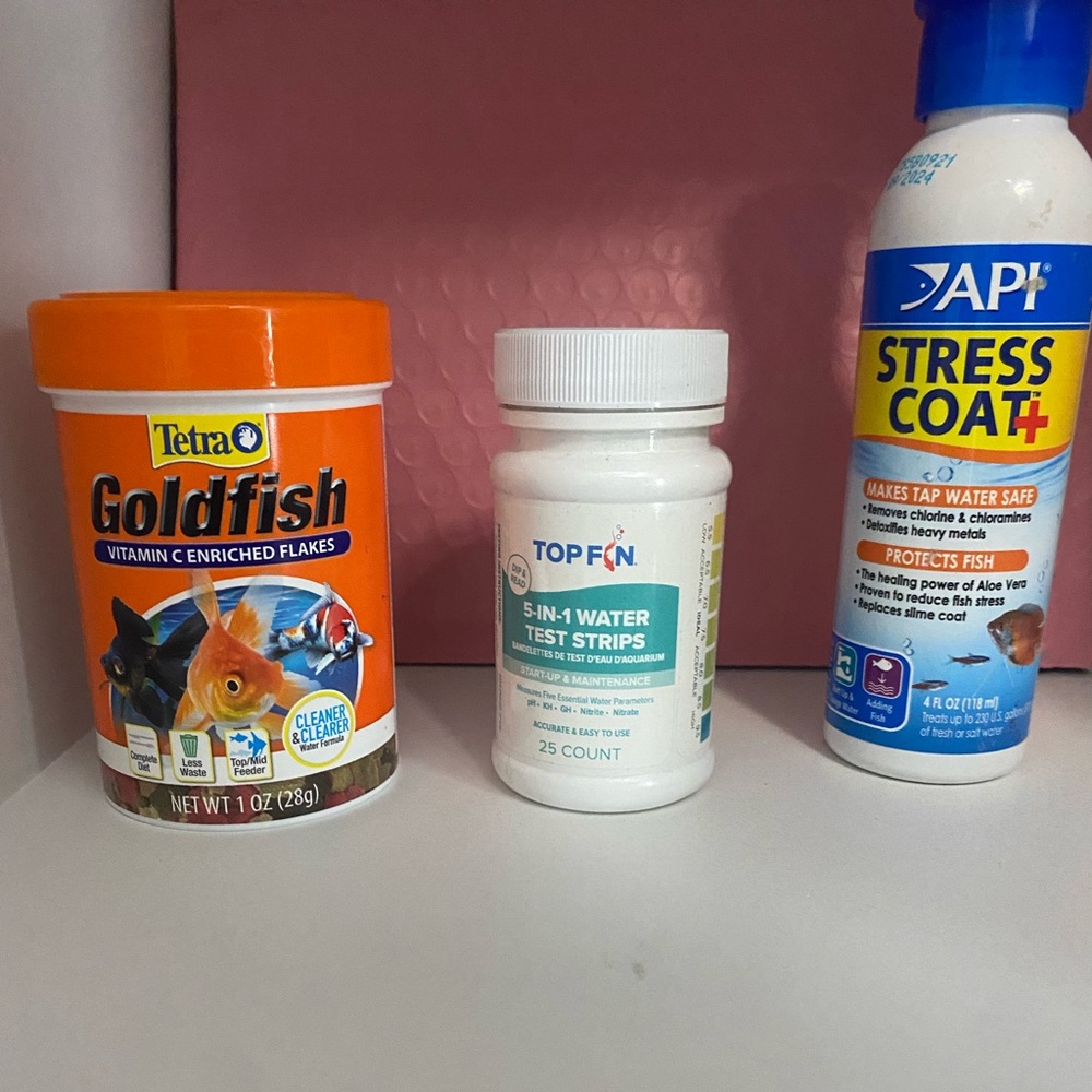fish care